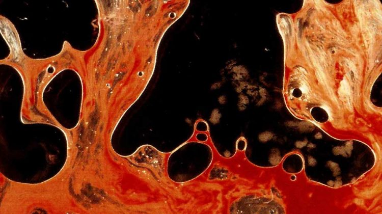 La historia detrás de la portada de “Load” de Metallica