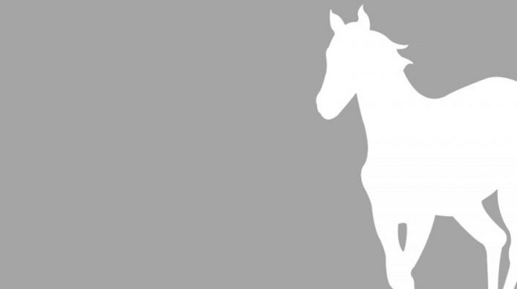 La historia detrás de la portada de “White Pony” de Deftones