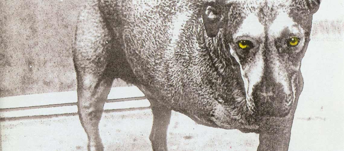 La historia detrás de la portada de “Alice in Chains” de Alice in Chains