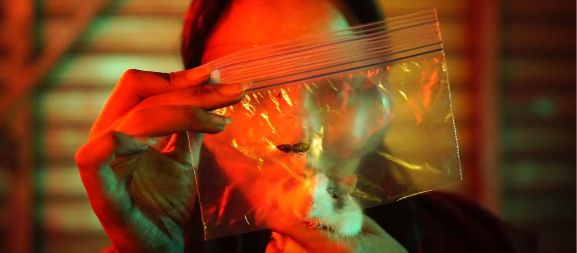 Alice In Chains - Black Antenna