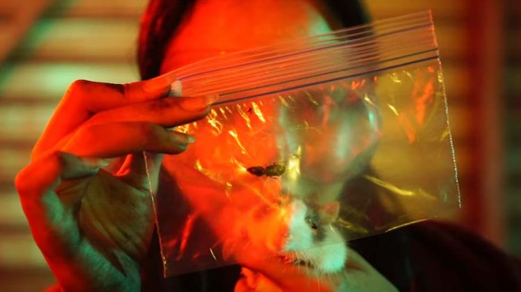 Alice In Chains - Black Antenna