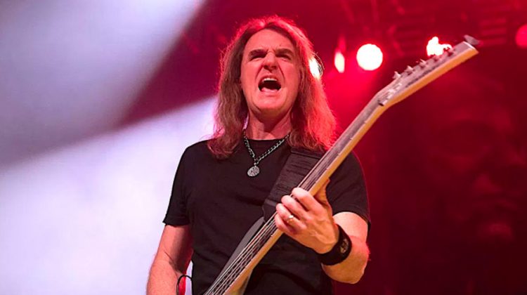 David Ellefson